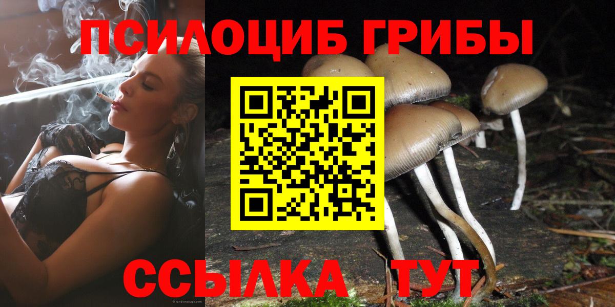 Псилоцибиновые грибы MAGIC MUSHROOMS Батайск